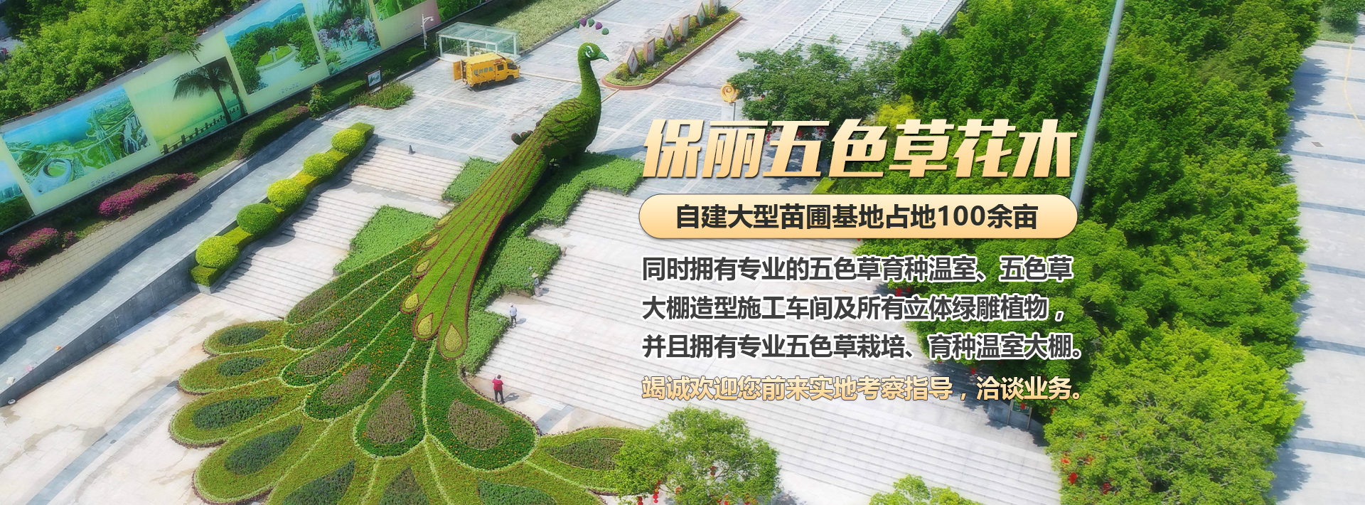 五色草立體花壇